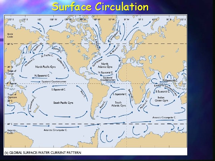 Surface Circulation 
