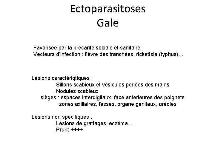Ectoparasitoses Gale Favorisée par la précarité sociale et sanitaire Vecteurs d’infection : fièvre des