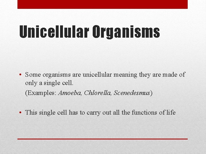 Unicellular Organisms • Some organisms are unicellular meaning they are made of only a