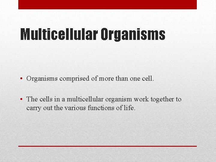 Multicellular Organisms • Organisms comprised of more than one cell. • The cells in