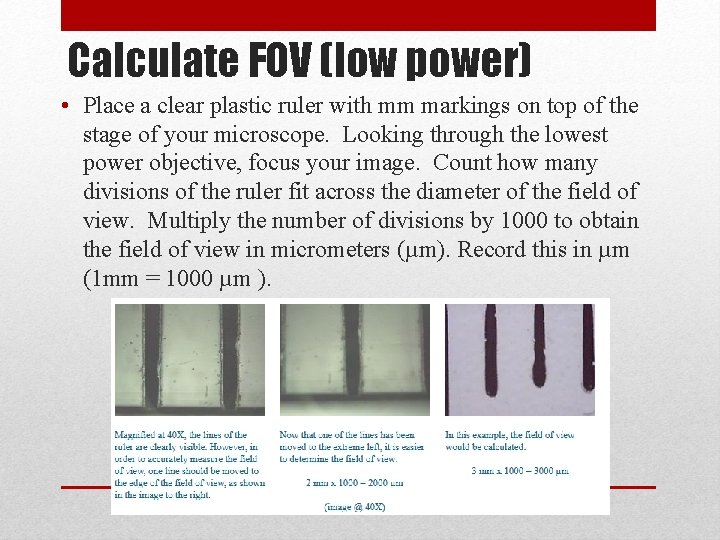 Calculate FOV (low power) • Place a clear plastic ruler with mm markings on