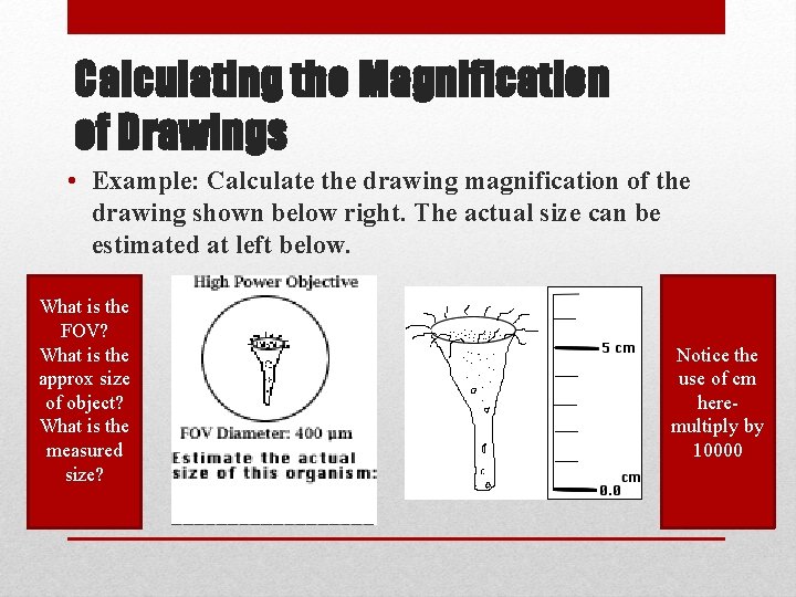 Calculating the Magnification of Drawings • Example: Calculate the drawing magnification of the drawing