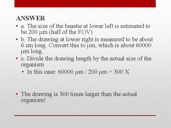 ANSWER • a. The size of the beastie at lower left is estimated to