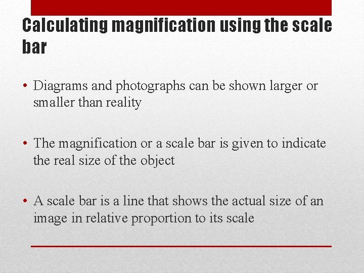 Calculating magnification using the scale bar • Diagrams and photographs can be shown larger