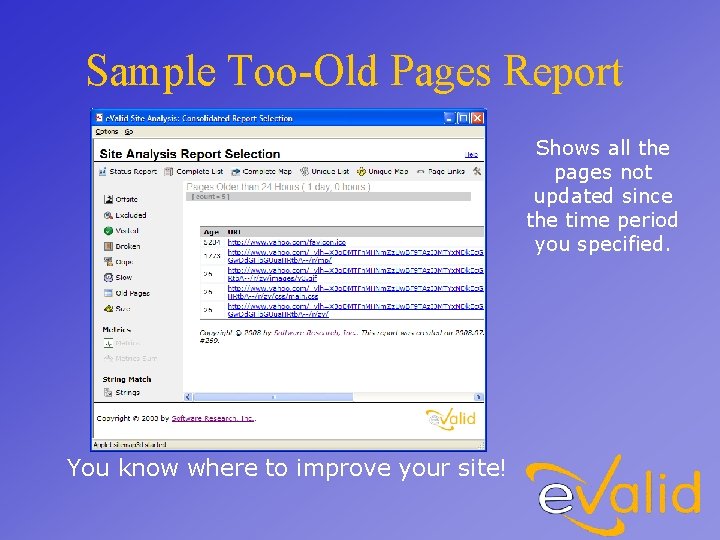 Sample Too-Old Pages Report Shows all the pages not updated since the time period