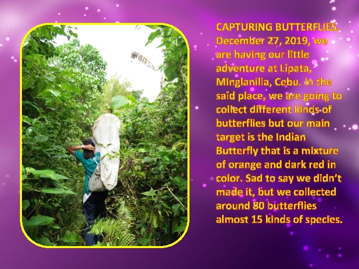 CAPTURING BUTTERFLIES. December 27, 2019, we are having our little adventure at Lipata, Minglanilla,