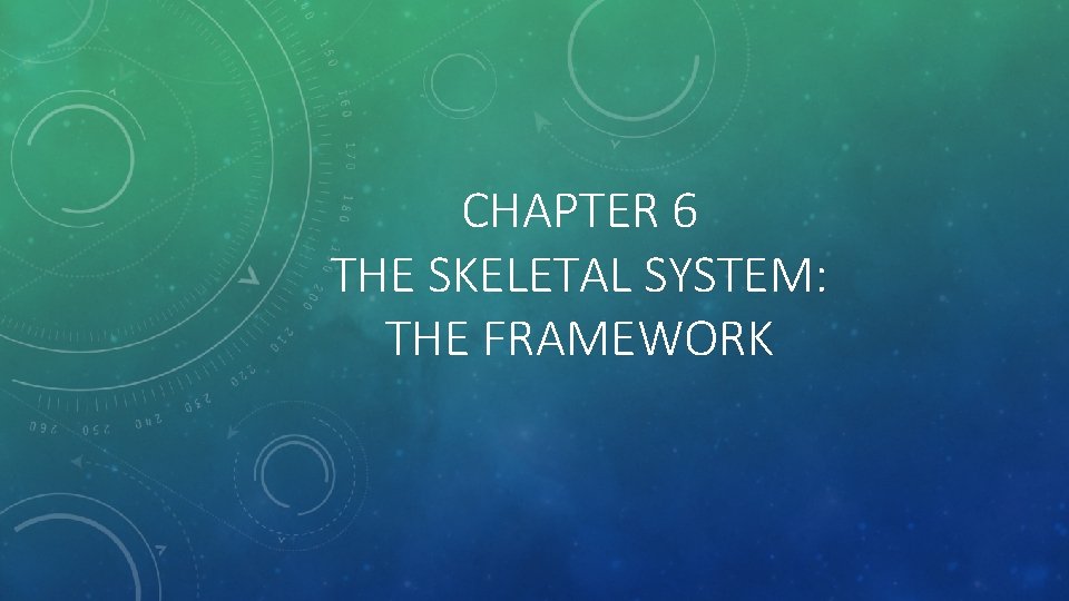 CHAPTER 6 THE SKELETAL SYSTEM: THE FRAMEWORK 