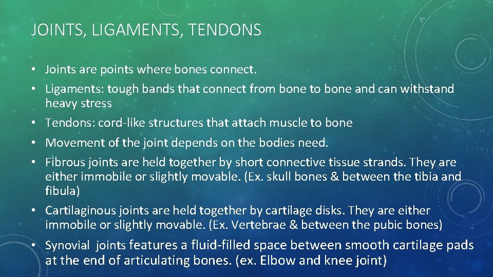 JOINTS, LIGAMENTS, TENDONS • Joints are points where bones connect. • Ligaments: tough bands