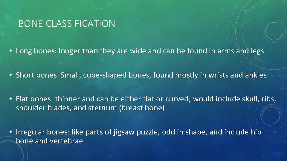 BONE CLASSIFICATION • Long bones: longer than they are wide and can be found