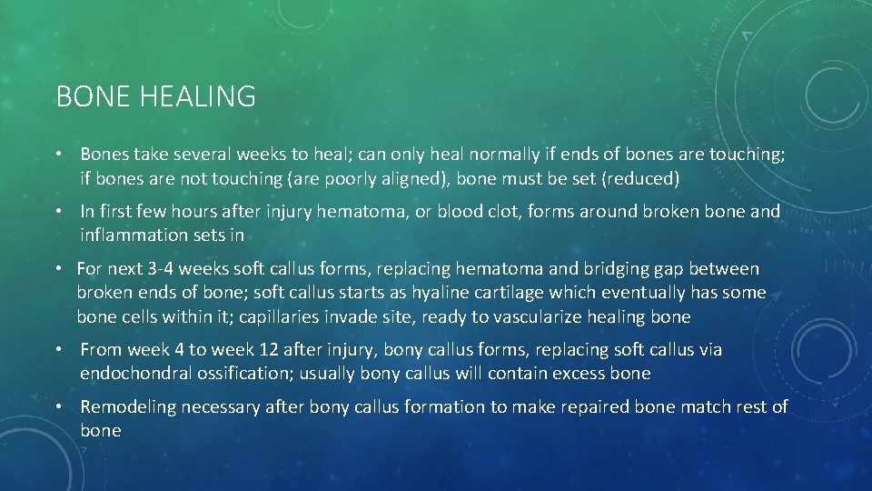 BONE HEALING • Bones take several weeks to heal; can only heal normally if