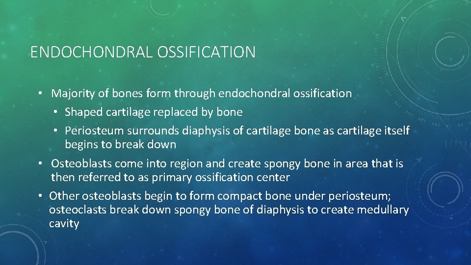 ENDOCHONDRAL OSSIFICATION • Majority of bones form through endochondral ossification • Shaped cartilage replaced