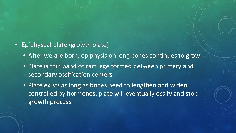  • Epiphyseal plate (growth plate) • After we are born, epiphysis on long