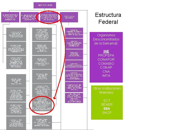 Estructura Federal Organismos Desconcentrados de la Semarnat: INE PROFEPA CONAFOR CONABIO CONAP CNA IMTA