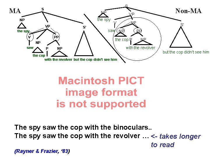 MA S S NP the spy NP VP S’ the spy V PP NP