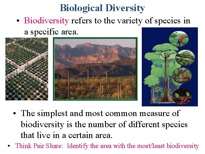 Biological Diversity • Biodiversity refers to the variety of species in a specific area.