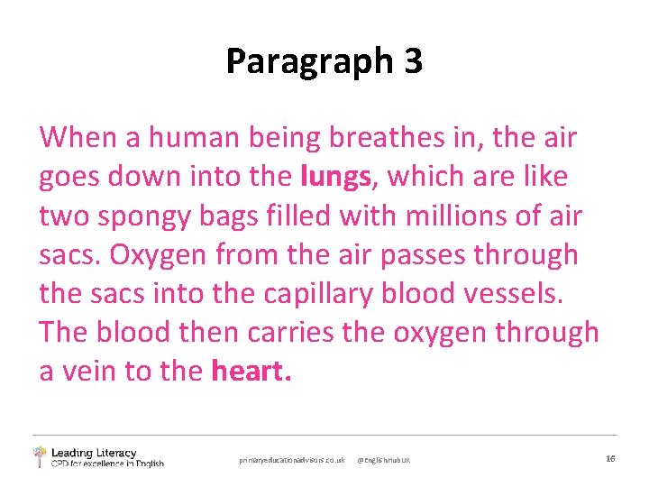 Paragraph 3 When a human being breathes in, the air goes down into the
