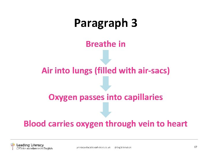 Paragraph 3 Breathe in Air into lungs (filled with air-sacs) Oxygen passes into capillaries