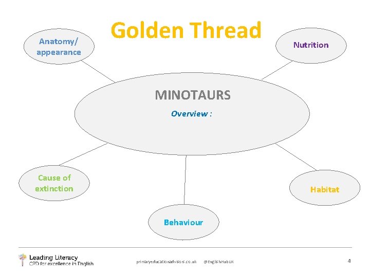 Anatomy/ appearance Golden Thread Nutrition MINOTAURS Overview : Cause of extinction Habitat Behaviour primaryeducationadvisors.