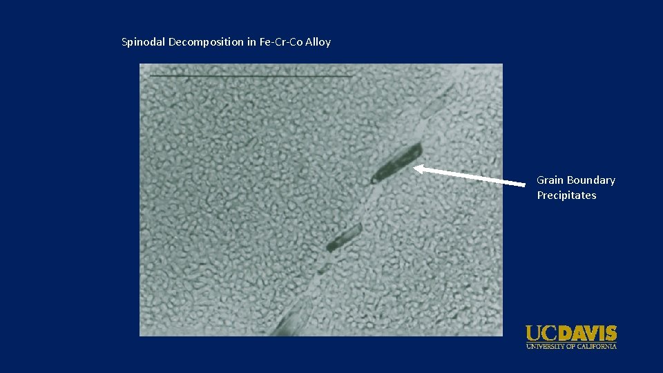 Spinodal Decomposition in Fe-Cr-Co Alloy Grain Boundary Precipitates 