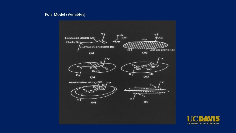 Pole Model (Venables) 