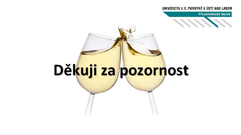 Děkuji za pozornost 