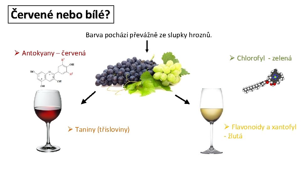 Červené nebo bílé? Barva pochází převážně ze slupky hroznů. Ø Antokyany – červená Ø