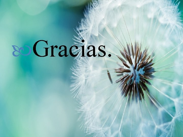  Gracias. 