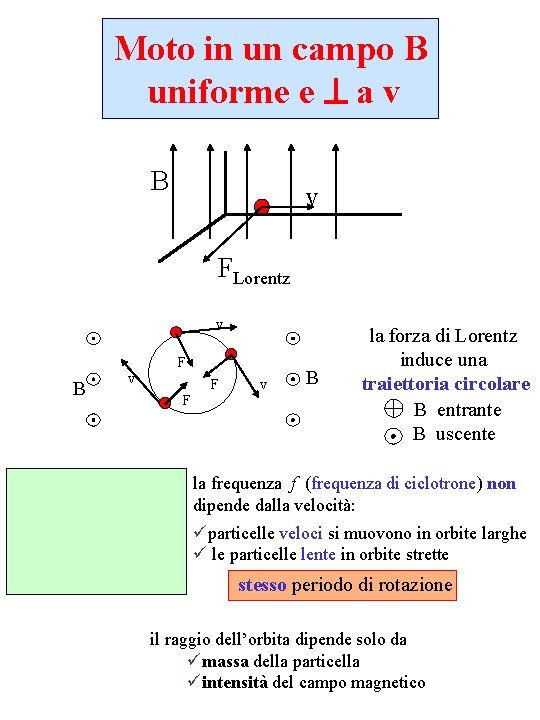 Moto in un campo B uniforme e a v B v FLorentz v F