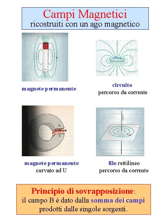 Campi Magnetici ricostruiti con un ago magnetico magnete permanente curvato ad U circuito percorso