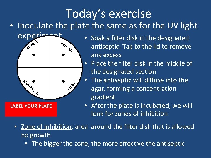 Today’s exercise • Inoculate the plate the same as for the UV light experiment