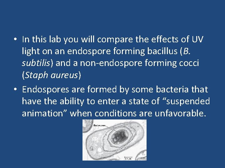  • In this lab you will compare the effects of UV light on