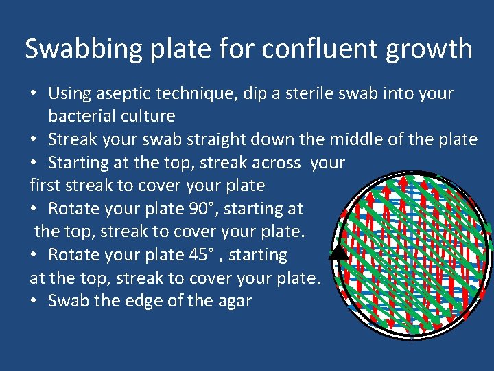 Swabbing plate for confluent growth • Using aseptic technique, dip a sterile swab into
