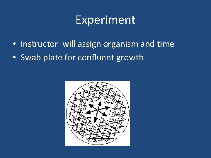 Experiment • Instructor will assign organism and time • Swab plate for confluent growth