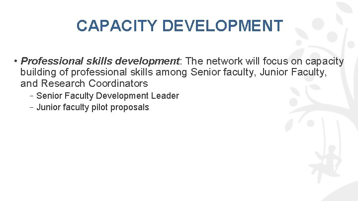 CAPACITY DEVELOPMENT • Professional skills development: The network will focus on capacity building of