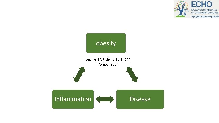obesity Leptin, TNF alpha, IL-6, CRP, Adiponectin Inflammation Disease 