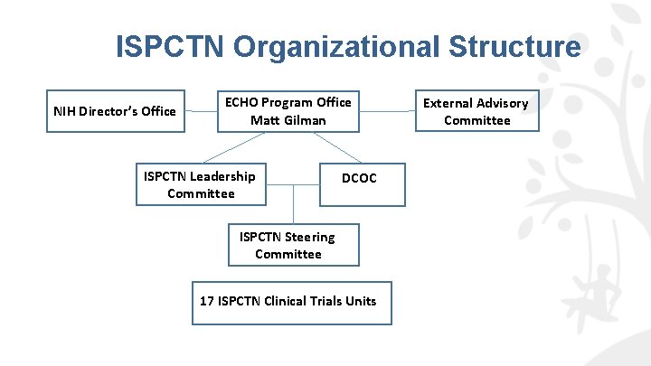 ISPCTN Organizational Structure NIH Director’s Office ECHO Program Office Matt Gilman ISPCTN Leadership Committee