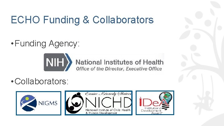 ECHO Funding & Collaborators • Funding Agency: • Collaborators: 