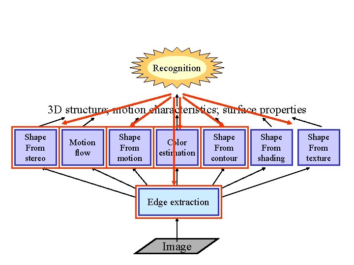 Recognition 3 D structure; motion characteristics; surface properties Shape From stereo Motion flow Shape