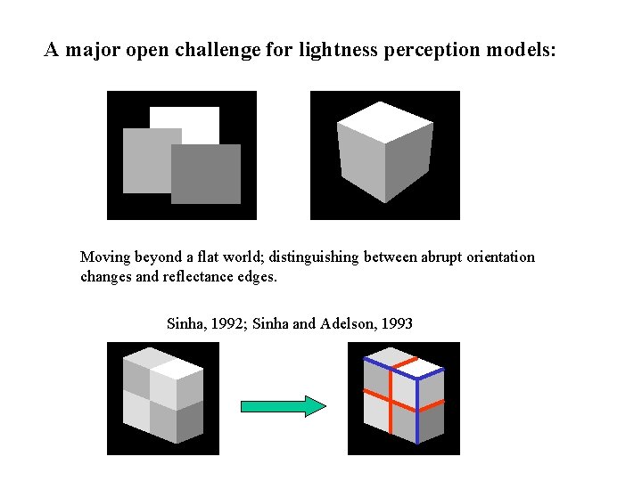 A major open challenge for lightness perception models: Moving beyond a flat world; distinguishing