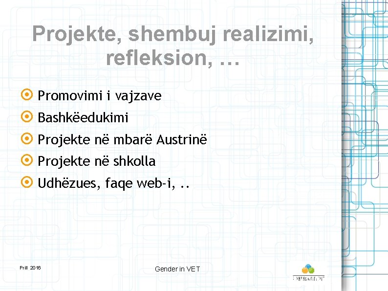 Projekte, shembuj realizimi, refleksion, … Promovimi i vajzave Bashkëedukimi Projekte në mbarë Austrinë Projekte