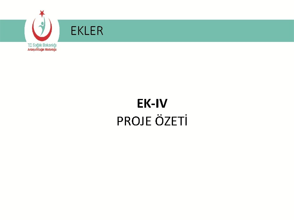 EKLER EK-IV PROJE ÖZETİ 