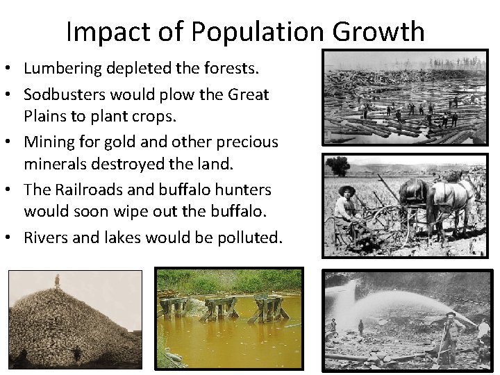 Impact of Population Growth • Lumbering depleted the forests. • Sodbusters would plow the
