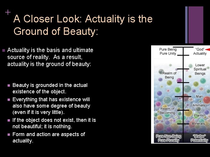 + n A Closer Look: Actuality is the Ground of Beauty: Actuality is the