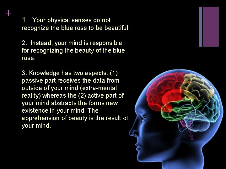 + 1. Your physical senses do not recognize the blue rose to be beautiful.