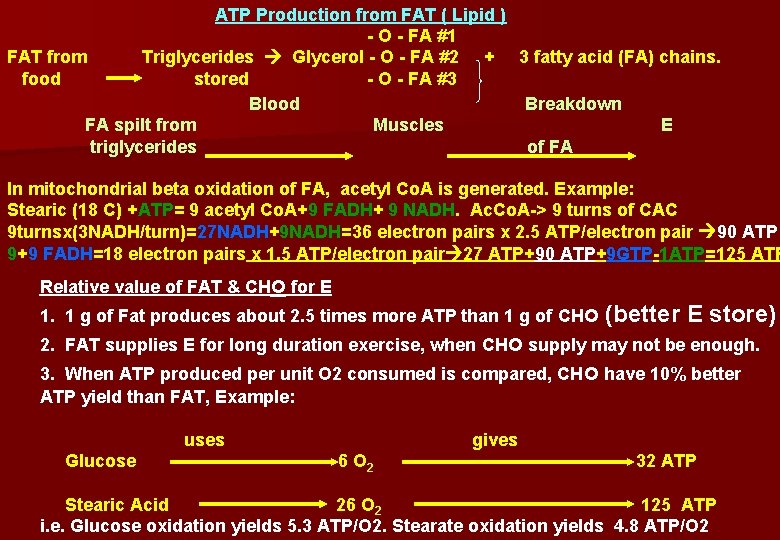 ATP Production from FAT ( Lipid ) - O - FA #1 FAT from