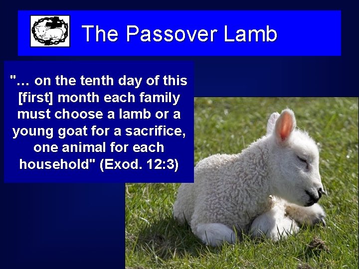 The Passover Lamb "… on the tenth day of this [first] month each family