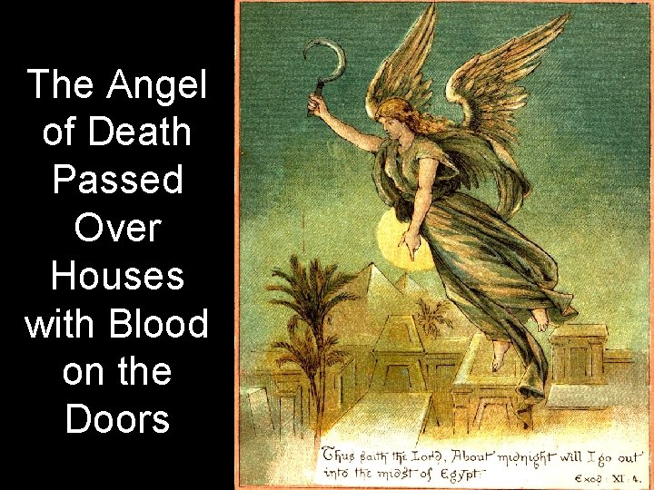 The Angel of Death Passed Over Houses with Blood on the Doors 