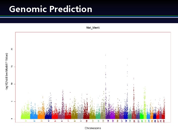 Genomic Prediction Applied Genomics for Sustainable Livestock Breeding 5) ( Genomic Prediction Applied Genomics for Sustainable Livestock Breeding 5) (