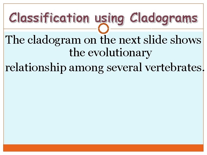 Classification using Cladograms The cladogram on the next slide shows the evolutionary relationship among