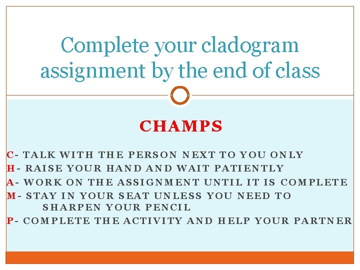 Complete your cladogram assignment by the end of class CHAMPS C- TALK WITH THE